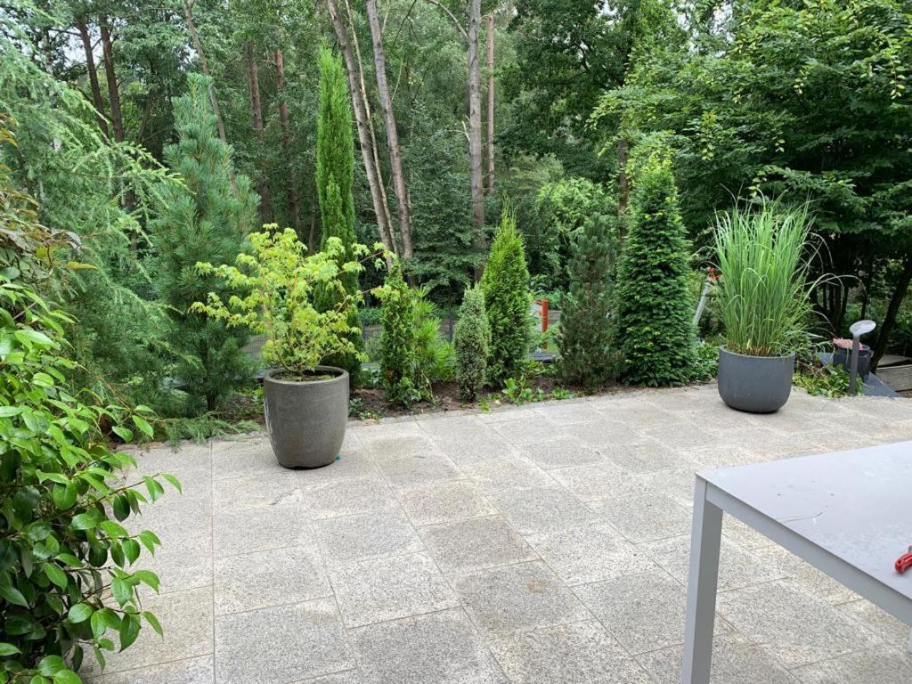 Ferienhaus Bendestorf, Waldweg 38,Naehe Hamburg 外观 照片